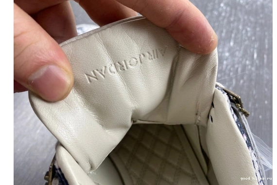  Retro Jordan  819139-030 4  Snakeskin 819139-030 0227